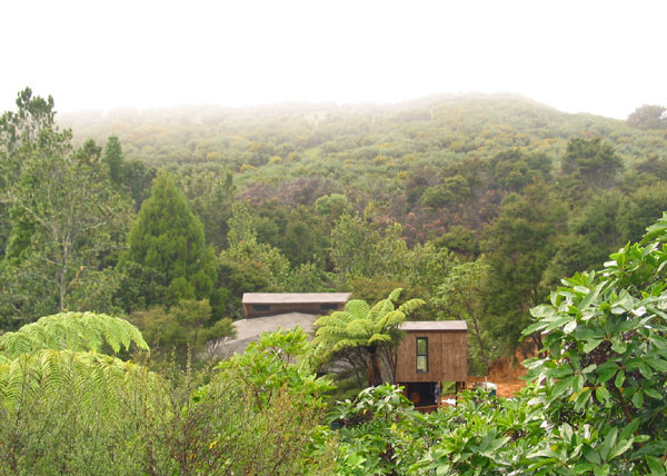 Айкидо додзе в лесу, Коромандел, Новая Зеландия (Coromandel, New Zealand)