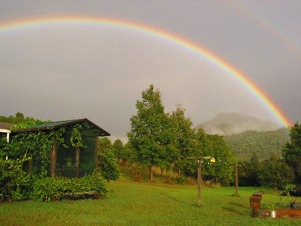 Радуга над фермой, Коромандел, Новая Зеландия (Coromandel, New Zealand)