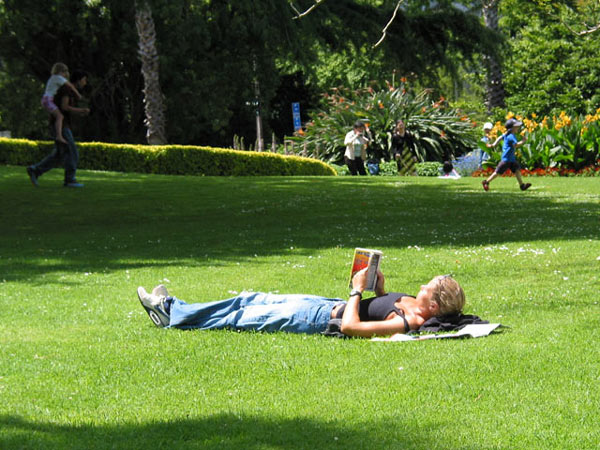 Окленд, Новая Зеландия (Auckland, New Zealand)