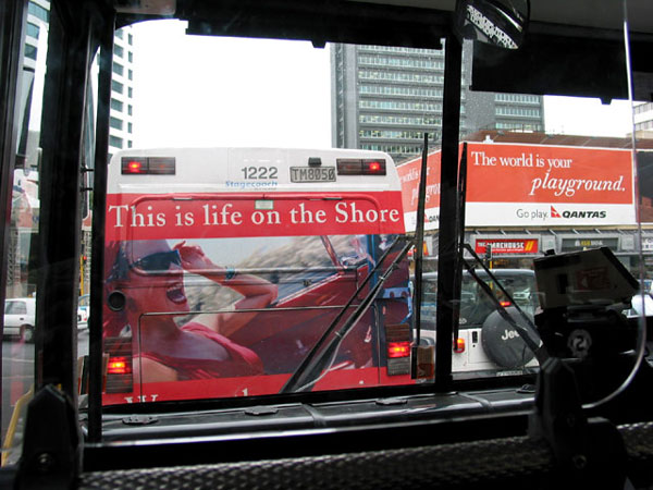 Life on the shore, Окленд, Новая Зеландия (Auckland, New Zealand)