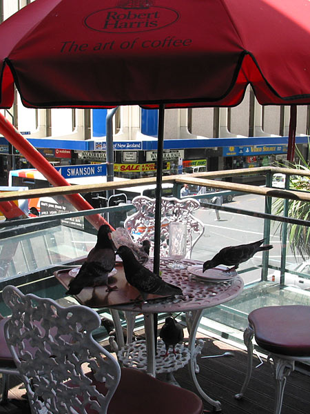 Окленд, Новая Зеландия (Auckland, New Zealand)