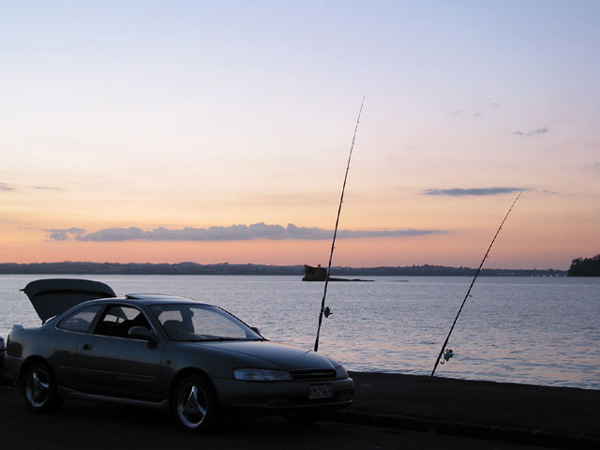 Окленд, Новая Зеландия (Auckland, New Zealand)