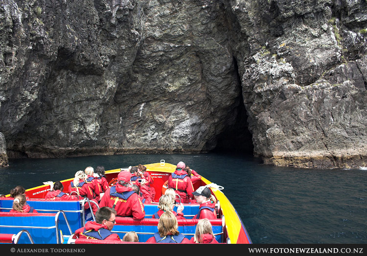Cathedral Cave, Bay of Islands, Новая Зеландия (Bay of Islands, New Zealand)