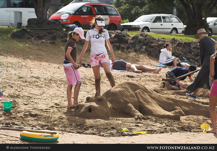 Песчаный дракон, Paihia, Bay of Islands, Новая Зеландия (Paihia, Bay of Islands, New Zealand)