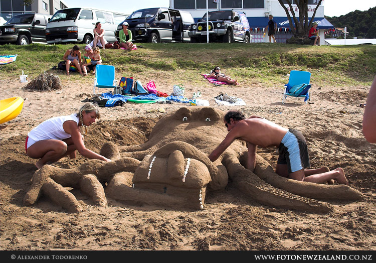 Спрут, Paihia, Bay of Islands, Новая Зеландия (Paihia, Bay of Islands, New Zealand)