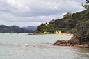Paihia beach