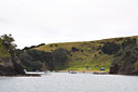 Urupukapuka Island