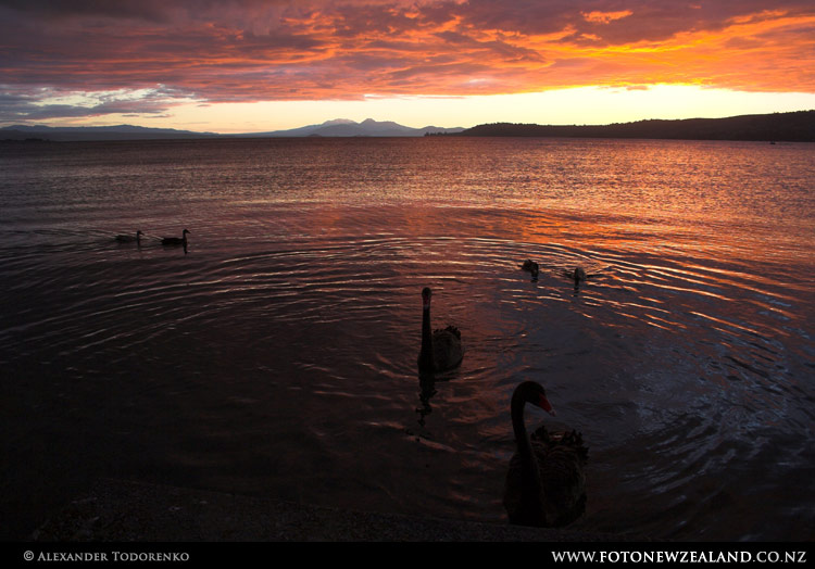 Закат на Озере Таупо Закат на Озере Таупо, Lake Taupo, Новая Зеландия (Lake Taupo, New Zealand)