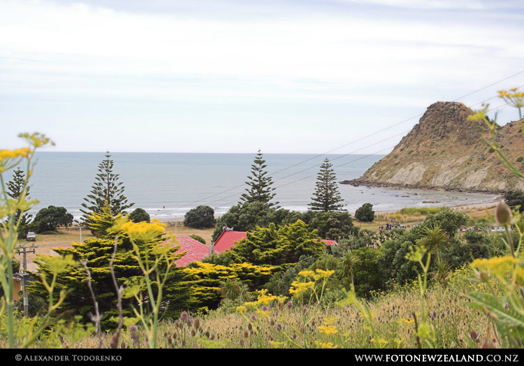 Whangara Whangara, East Coast, Новая Зеландия (East Coast, New Zealand)