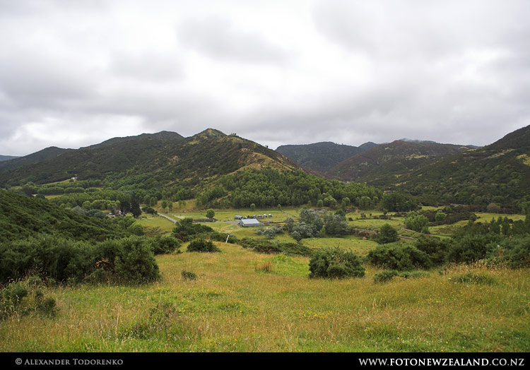 Прогулка к морю через холмы, Rangitukia, Новая Зеландия (Rangitukia, New Zealand)