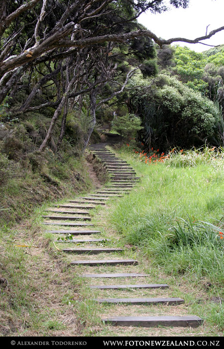 750 ступенек к маяку, East Cape, Новая Зеландия (East Cape, New Zealand)
