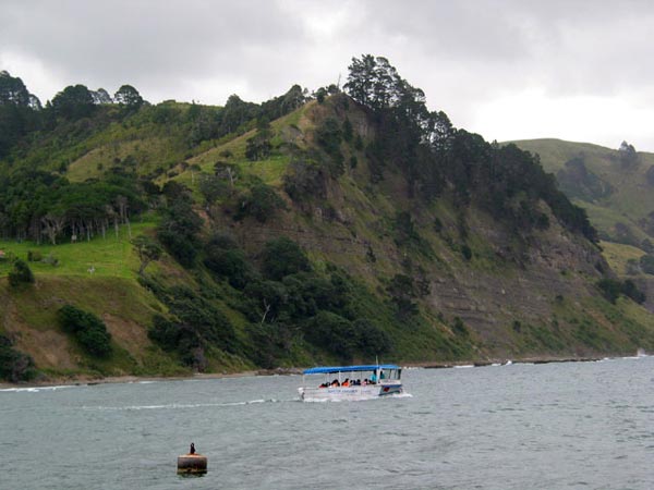 Окленд, Новая Зеландия (Auckland, New Zealand)