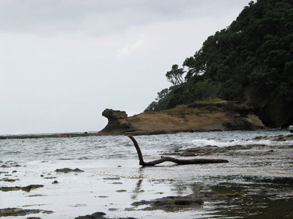 Окленд, Новая Зеландия (Auckland, New Zealand)
