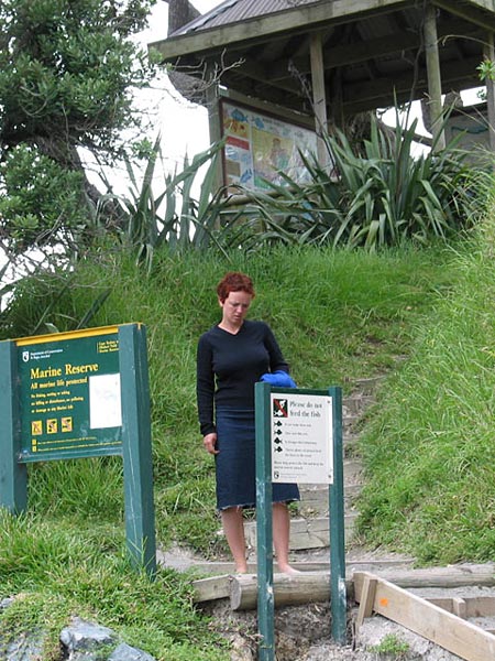 Окленд, Новая Зеландия (Auckland, New Zealand)