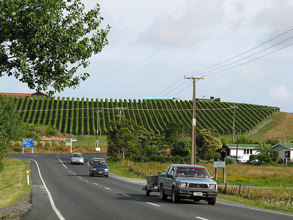 Окленд, Новая Зеландия (Auckland, New Zealand)