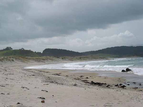 Окленд, Новая Зеландия (Auckland, New Zealand)