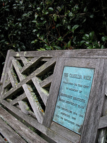 The camellia walk, Hamilton, Новая Зеландия (Hamilton, New Zealand)