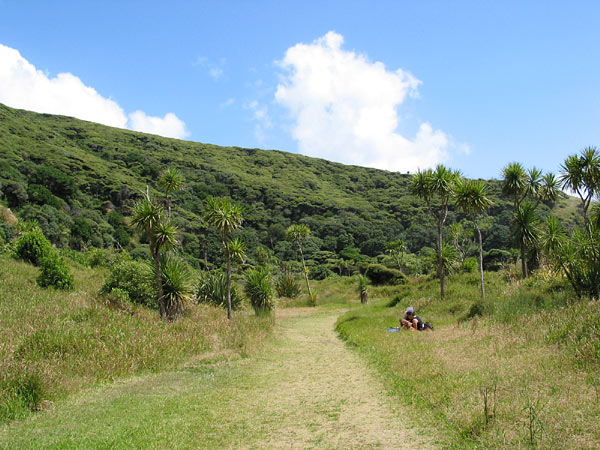 ...и спрятались в лесах, Karekare, Окленд, Новая Зеландия (Karekare, Auckland, New Zealand)