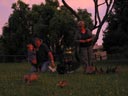 Кормежка птиц