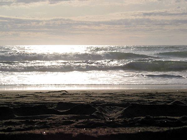 Окленд, Новая Зеландия (Auckland, New Zealand)