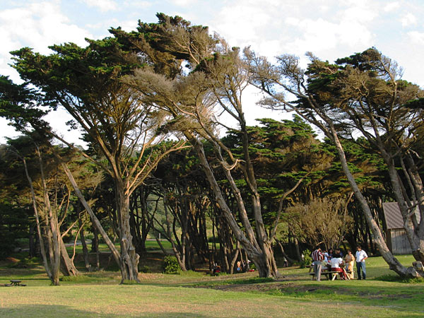 Окленд, Новая Зеландия (Auckland, New Zealand)