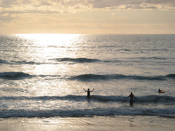 Окленд, Новая Зеландия (Auckland, New Zealand)