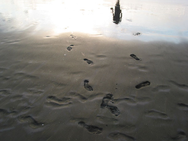 Окленд, Новая Зеландия (Auckland, New Zealand)