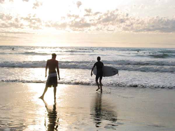 Окленд, Новая Зеландия (Auckland, New Zealand)