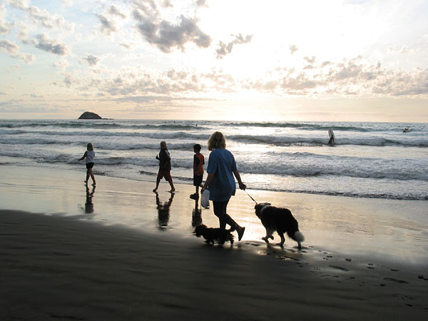 Окленд, Новая Зеландия (Auckland, New Zealand)