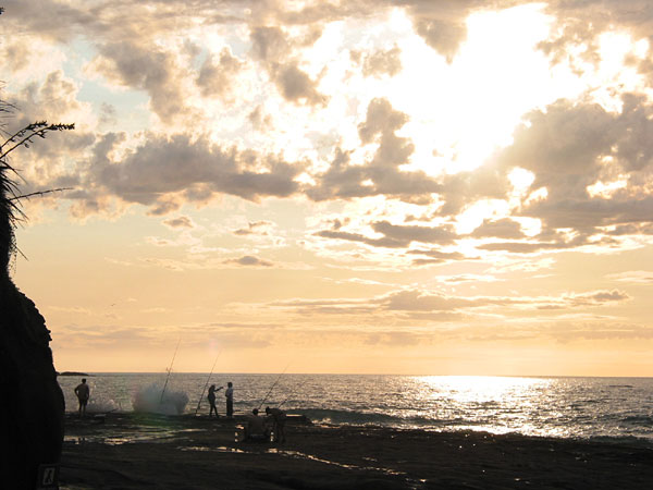 Окленд, Новая Зеландия (Auckland, New Zealand)
