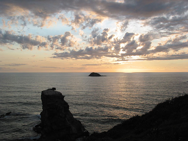 Окленд, Новая Зеландия (Auckland, New Zealand)