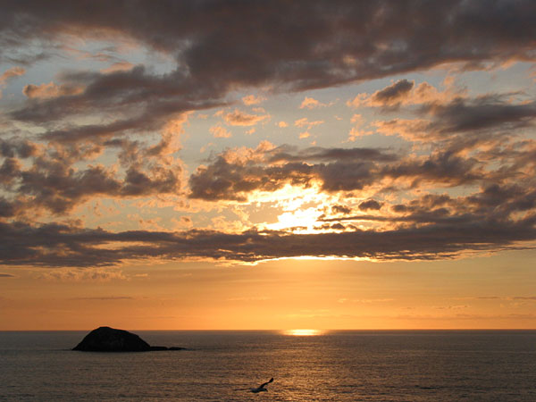 Окленд, Новая Зеландия (Auckland, New Zealand)