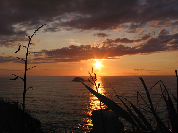 Окленд, Новая Зеландия (Auckland, New Zealand)