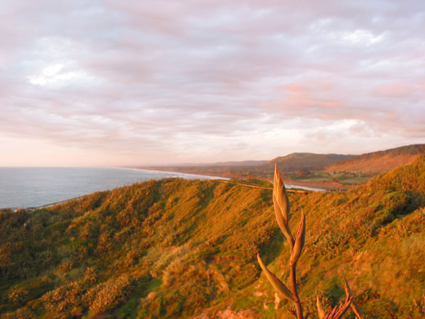 Окленд, Новая Зеландия (Auckland, New Zealand)