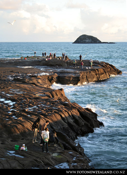 Окленд, Новая Зеландия (Auckland, New Zealand)