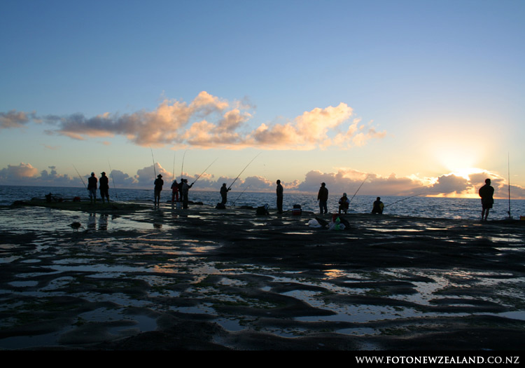 Окленд, Новая Зеландия (Auckland, New Zealand)