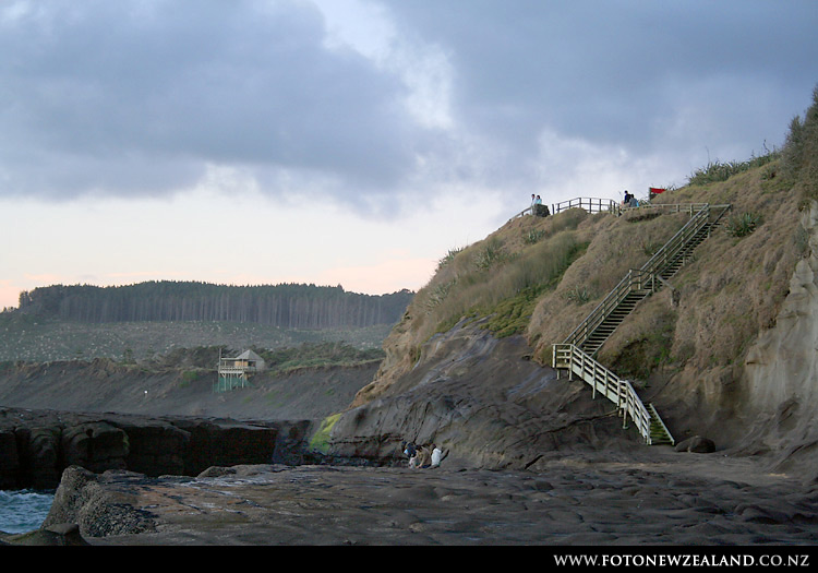 Окленд, Новая Зеландия (Auckland, New Zealand)