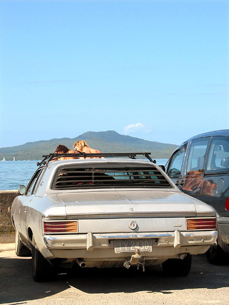 Воскресный отдых в Такапуне, Takapuna, Auckland, New Zealand
