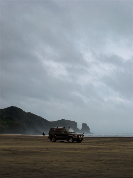 Te Henga (Bethells Beach), Auckland, New Zealand
