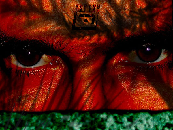 Тропическая лихорадка, Auckland, New Zealand