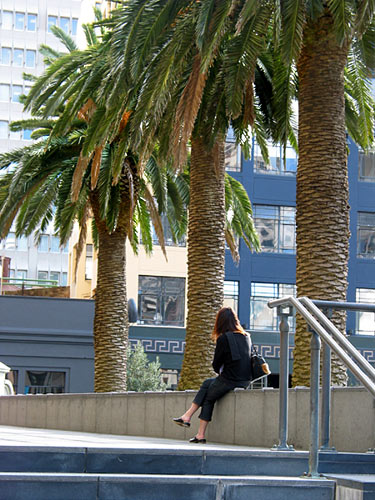 Ожидание, Chancery Square, Auckland, New Zealand