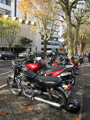 Окрестности Оклендского университета, Auckland, New Zealand