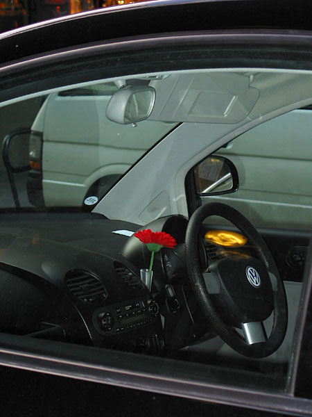 Красное на Черном, Auckland City, New Zealand