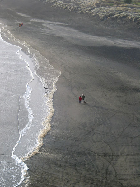 Piha Beach. Вид со скалы Lion Rock, Auckland, New Zealand