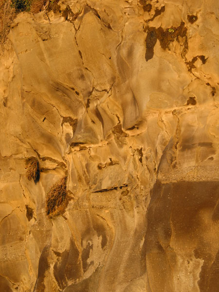 Скала на пляже Muriwai, Muriwai Beach, Auckland, New Zealand