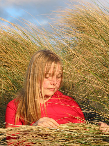 В дюнах, Muriwai Beach, Auckland, New Zealand