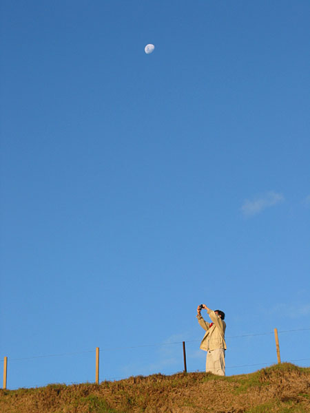 Лунатик, Muriwai Beach, Auckland, New Zealand