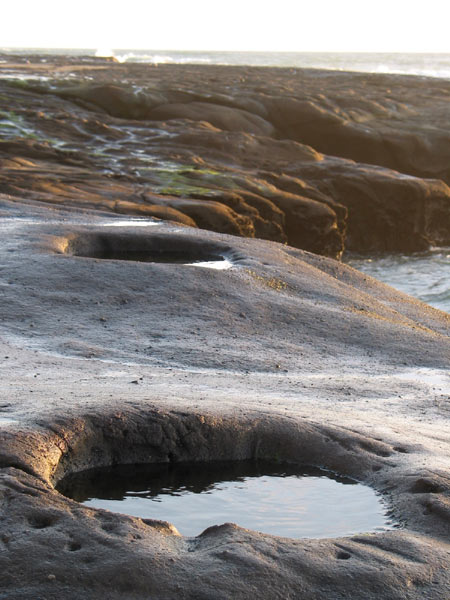 Ноздри кашалота, Muriwai beach, Auckland, New Zealand