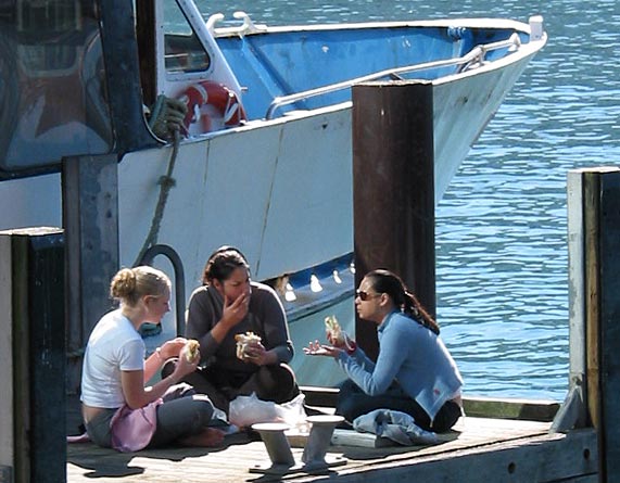 Lunch Time, Auckland City, New Zealand