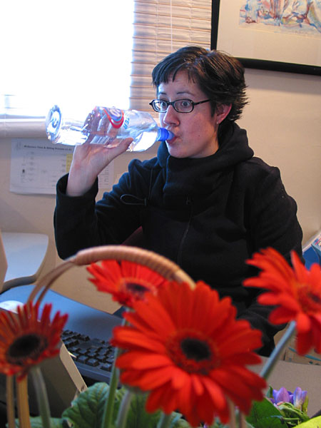 День рождения Аманды, Auckland, New Zealand